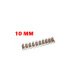 Regleta Ciega 2 x 10 mm Transparente 10 Bornes