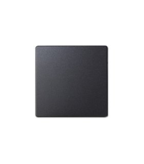 Tecla Individual Grafito para Mecanismos Simon 28 55 x 55 mm 28010-38