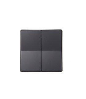 Tecla Doble para 2 Interruptores o Conmutadores Simon 28 Grafito 55 x 55 mm 28026-38