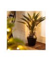 Guirnalda Solar Exterior LED Lilac 2 m 3000K IP44