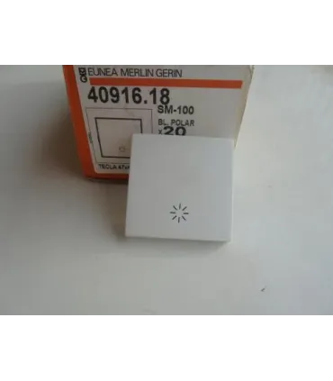 TECLA GRABADO SIMBOLO LUZ  PILOTO BL.POLAR   40916.18P