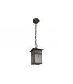 COLGANTE EXTERIOR PENSAMIENTO MARRON 1XE27 (25x15)