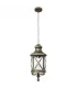 COLGANTE EXTERIOR ORQUIDEA 1XE27 ORO (54-102x22x22)