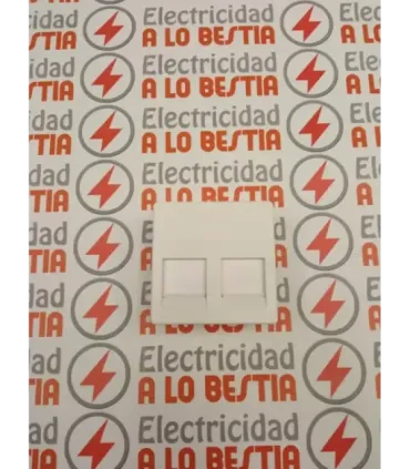 Placa V&D Plana CG Para 2 RJ45 AMP Blanco Nieve 27486-35