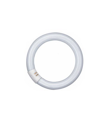 Tubo Fluorescente Circular 22w 6500K