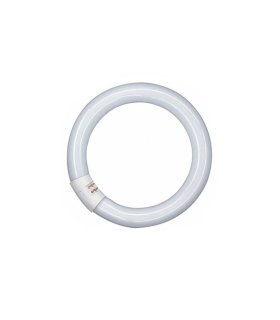 Tubo Fluorescente Circular 32w 6500K