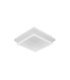 Plafon Elma 41w blanco